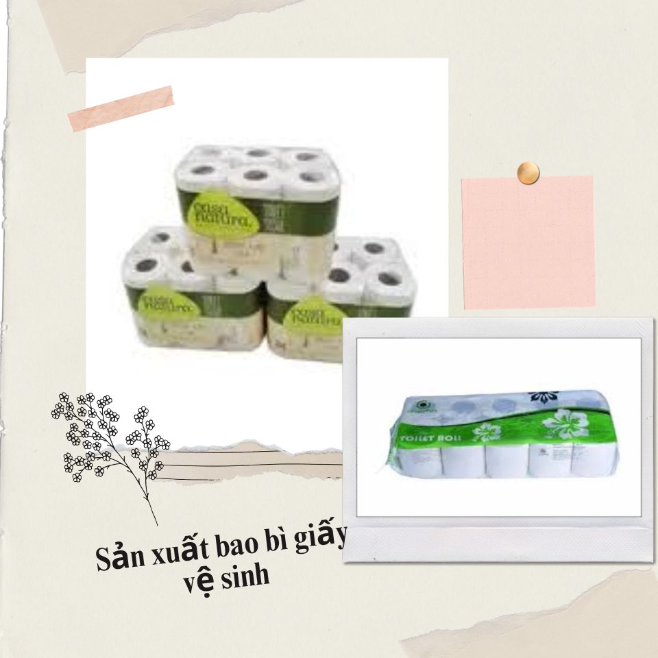 Sản xuất bao bì giấy vệ sinh