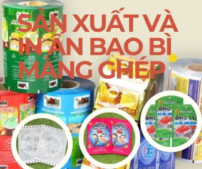 BAO BÌ MÀNG GHÉP VÀ ỨNG DỤNG CỦA BAO BÌ MÀNG GHÉP