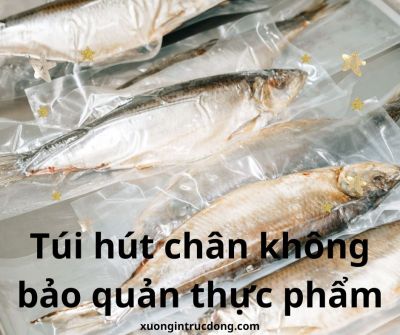 TÚI HÚT CHÂN KHÔNG VÀ NHỮNG LƯU Ý KHI LỰA CHỌN TÚI HÚT CHÂN KHÔNG